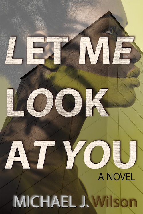 Let Me Look at You by Michael J. Wilson